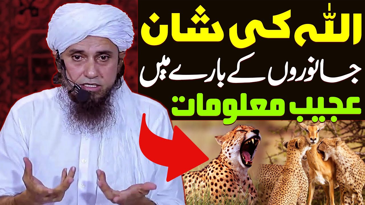 Allah Ki Shan | Janwaro Ke Bare Mein Ajeeb Maloomat | Mufti Tariq Masood Special | New Bayan 2022